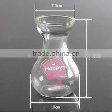 hydroponics soilless agriculture glass jar glass vase glass flower pots