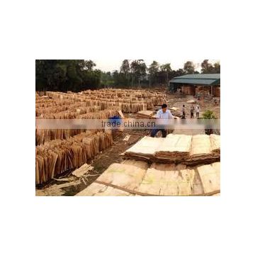 Vietnam eucalyptus core veneer for plywood
