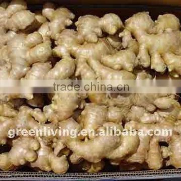 Chinese dry ginger/fresh ginger