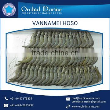 Widely Demanded Vannamei Feed Available at Export Price