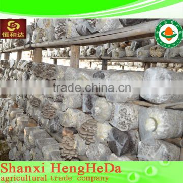alibaba higher quality dried morel