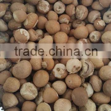 Whole Betel Nut (Areca nut/ Supari). we are the biggest supplier in Indonesia