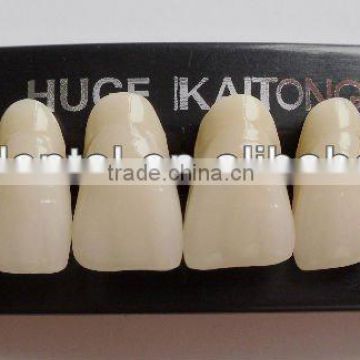 dental Synthetic Polymer Teeth