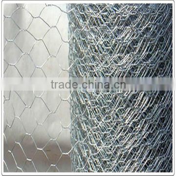 plastic coated hexagonal wire mesh/cage import china goods