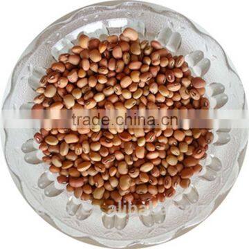 JSX long shape owpea bean price from china hot sale cowpeas