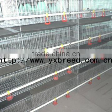 4 tier automatic cages for meat chickens