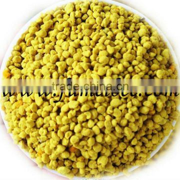 High quality yellow pure rape bee flower pollen producer