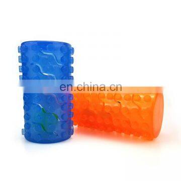 Custom color semi-transparent color bottle shape  pet molar bite interactive toy big dog toys