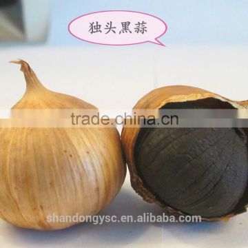 Chinese natural health black garlic export Japan