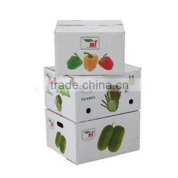 Cheap Vegetable Corrugated Carton Box For Moving (XG-CB-050)