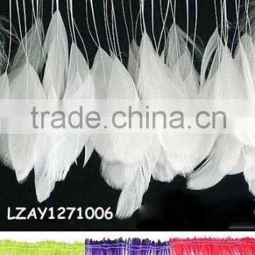 stripped coque feather trims LZAY1271006