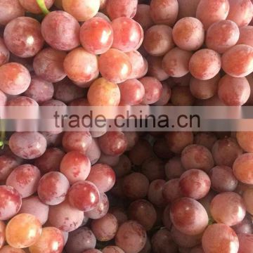 fresh purple seeded grapes from China