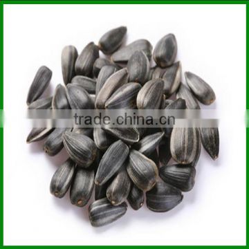Sale Chinese High Quality and Cheap Sunflower Seeds In Bulk for Pet Food