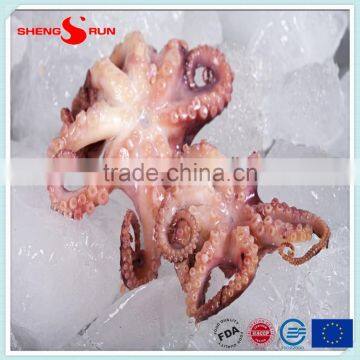 frozen baby otopus IQF Gutted