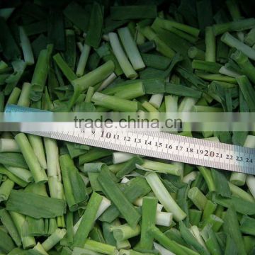 IQF frozen spring onion cut with best quality and hot price