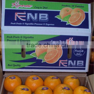 Kinnow Mandarin Tangerine Orange Citrus fruit from Pakistan