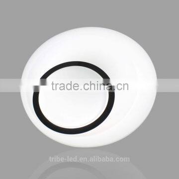 Cool White Color Temperature(CCT) Eco-Smart Ceiling Light HOT SALE CEILING LIGHT