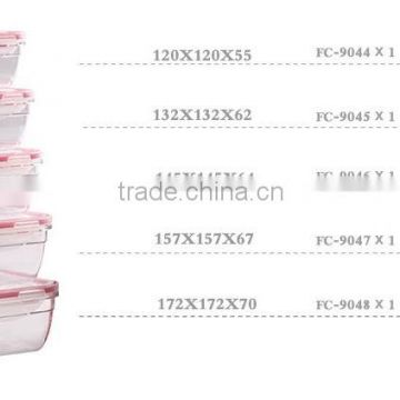 Hot Sale BPA FREE Tritan Food Grade Reusable Tritan Container Set with Clip Lock
