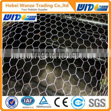 PVC Coated/Hot Dipped Galvanized Hexagonal Wire Mesh (factory)