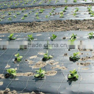 Agriculture mulch films with anti-uv