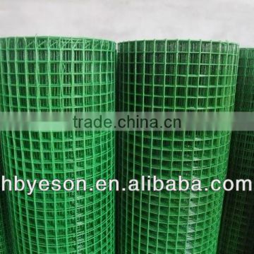 green pvc coated Welded Wire Mesh