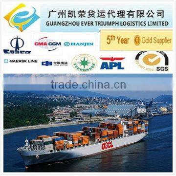 Sea Freight DDU Shipping Service from China to Jakarta