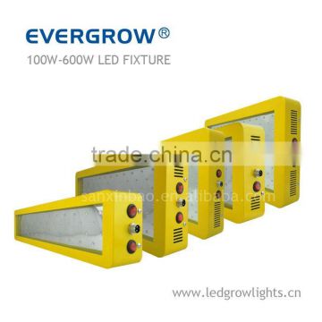 EverGrow 600 watt led grow light