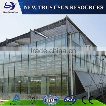 One stop service multi-span tomato greenhouse with glass covering material