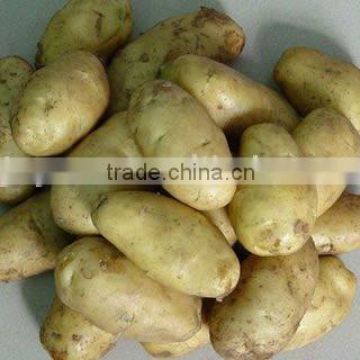 Potato in China