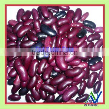 Long Dark Red Kidney Bean