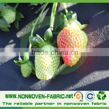 Anti-UV treatment pp spunbond nonwoven fabric agriculture cover/pp spunbond tunnel                        
                                                                                Supplier's Choice