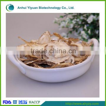 Angelica sinensis (Dang gui)