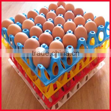 CHINA SUPPLIER HOT SALE COLORED PP PLASTIC MOULD 30 EGG TRAY WITH HIGH QUALITY
