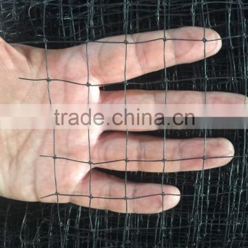 HDPE square anti bird net to catch bird for thailand customers