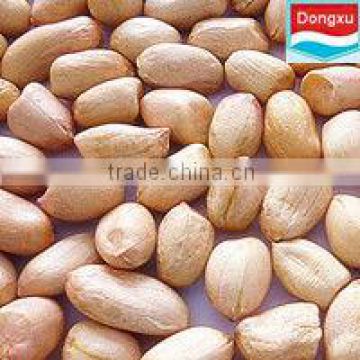 good quality peanut kernels baisha