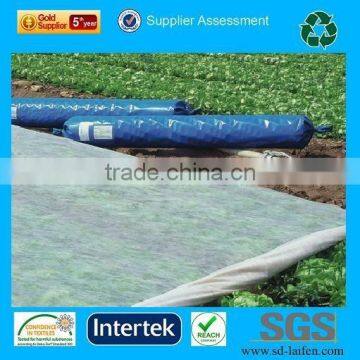 UV resistance Polypropylene Spun bonded non-woven for crop cover, crop protection