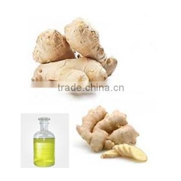 Suppliers of Bulk ginger oil