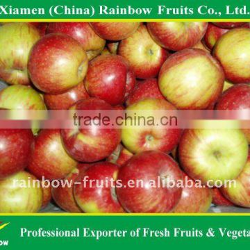 Fresh Jiguan apple