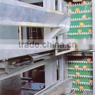 high quality h type chicken cage (factory)