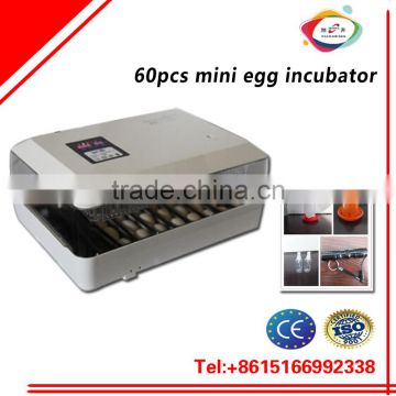 XS-60pcs top quality hatcher machine/mini egg incubator usd