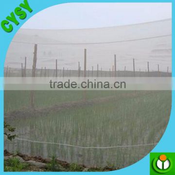 Factory provide Fruit white fly insect net