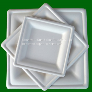 Square Plate 20x20cm eco-friendly compostable plate