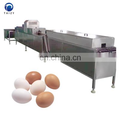 Automatic Hen Egg Cleaner Equipment Duck Egg Washing Processing Machine