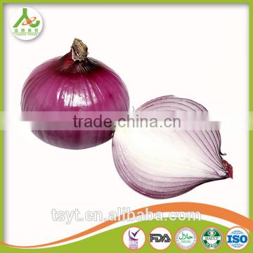 China best selling fresh red yellow onion for export