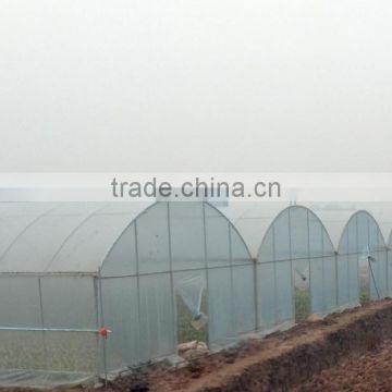 Cheap fruit vegetable flower greenhouse tent for sale