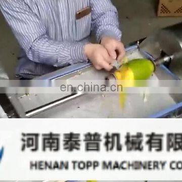 China manufacturer good price automatic mango peeler machine on sale