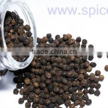 COMPETITIVE PRICE !!! BLACK PEPPER from Vietnam