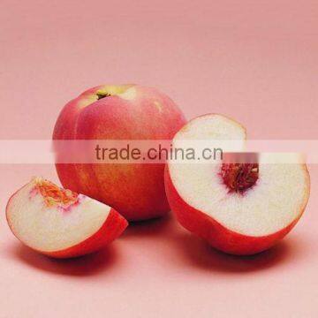 wholesale fresh peach