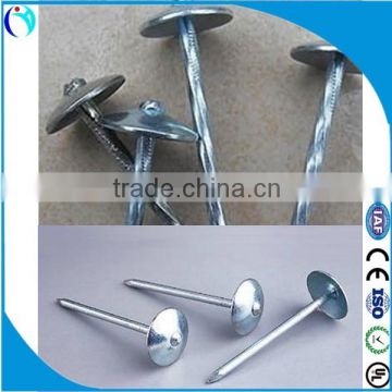 building material China supplier galvanized umbrella roofing nails