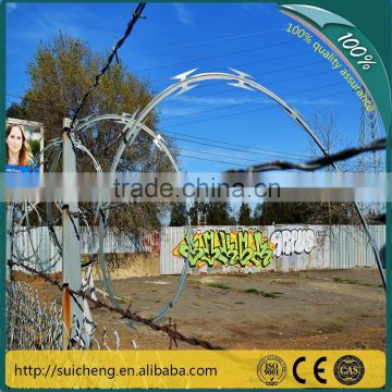 Guangzhou factory Free Sample 260grams 500mm diameter Galvanized Razor Wire Fence